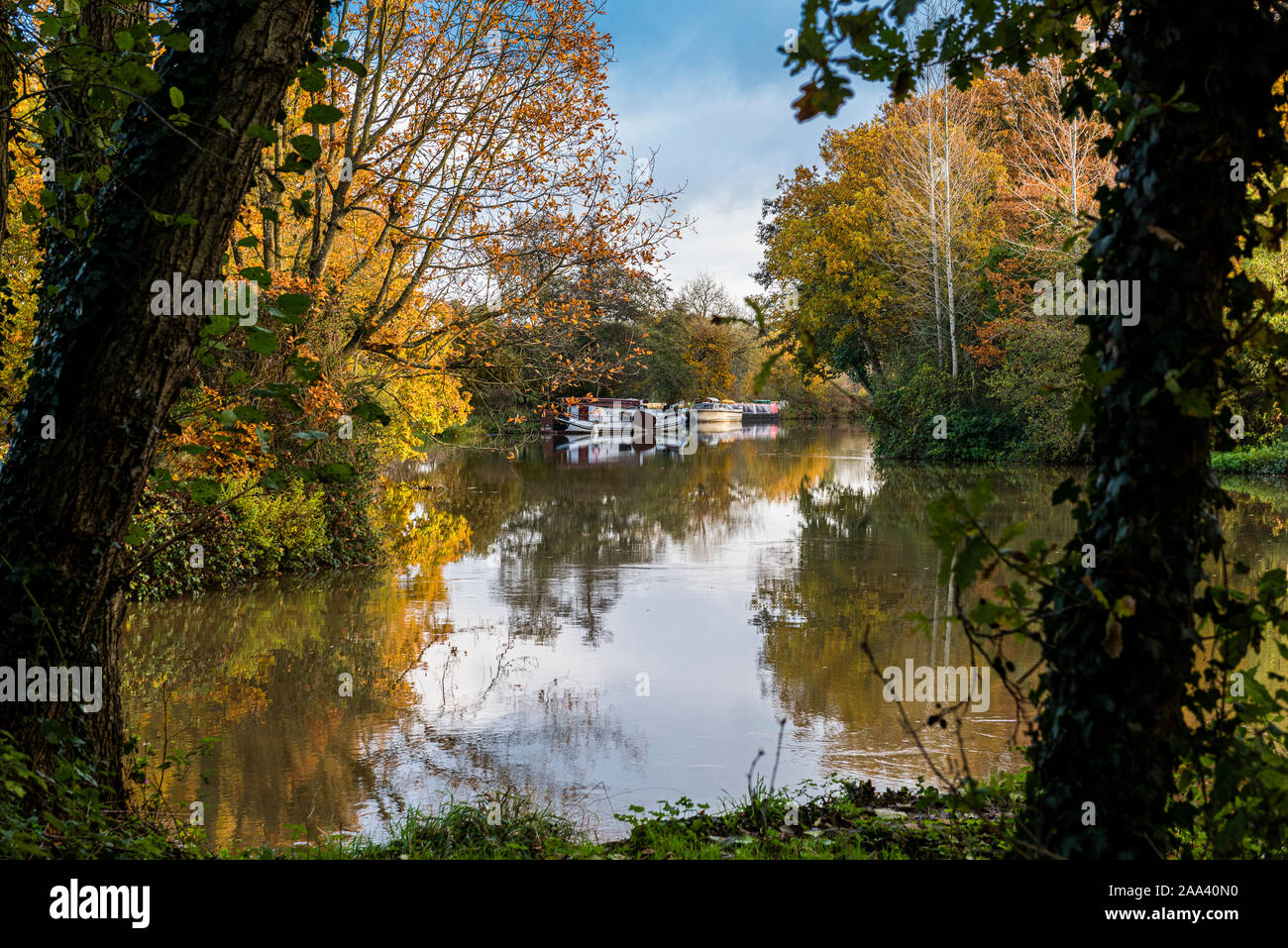 Den Fluss Medway Zwischen Maidstone und in Tonbridge Kent im Herbst Stockfoto