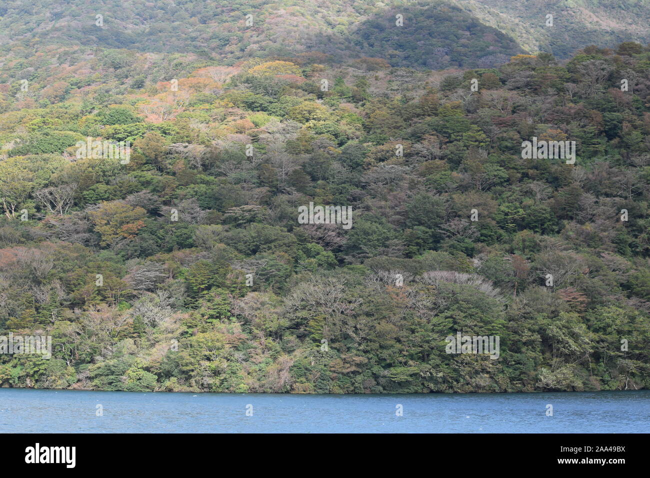 Grüner See am See Ashi, Hakone, Japan Stockfoto