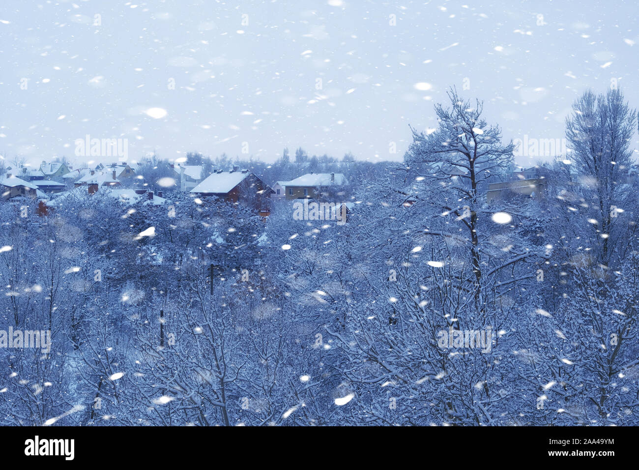 Weihnachten Schnee. Blizzard im Winter. Schneeflocken fliegen in der Luft. Stockfoto