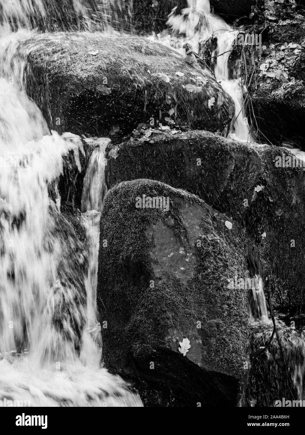 Die Kaskade Wasserfall, Windsor Great Park, Virginia Water, Surrey, England, UK, GB. Stockfoto