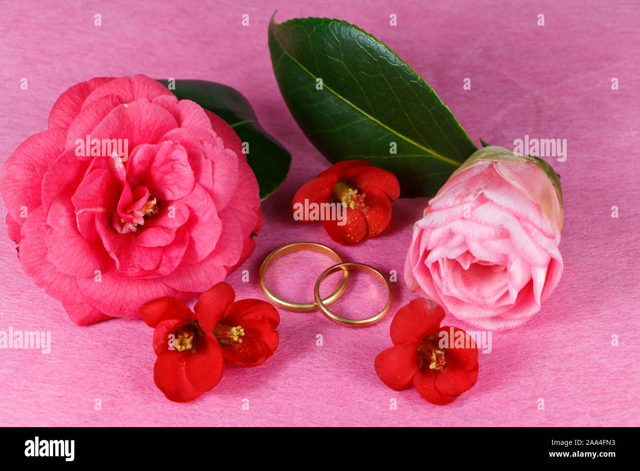 Zwei Eheringe und rot und rosa Blumen zum Valentinstag Stockfoto