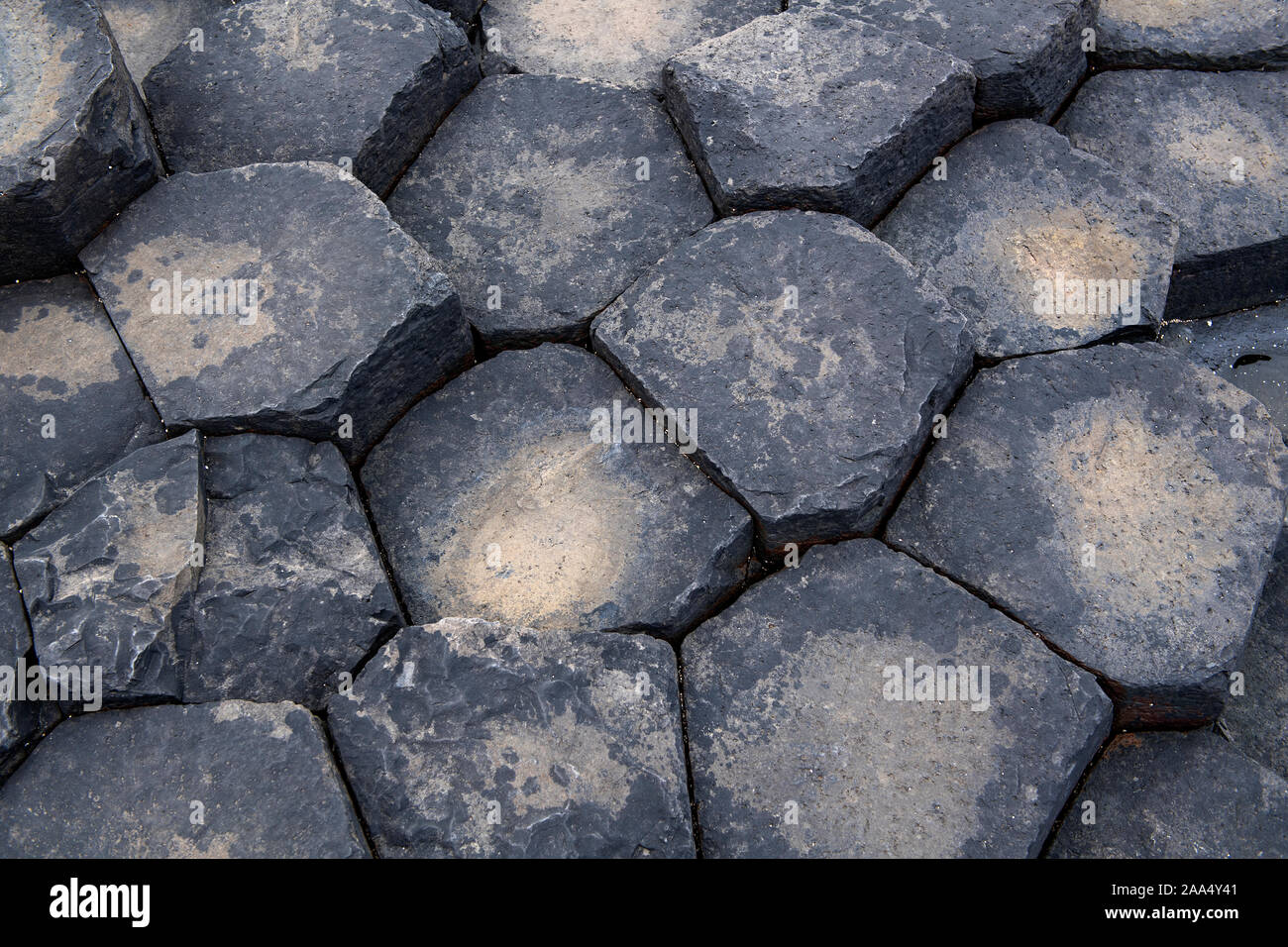 Basaltsäulen am Giants Causeway, Nordirland, Großbritannien. Stockfoto