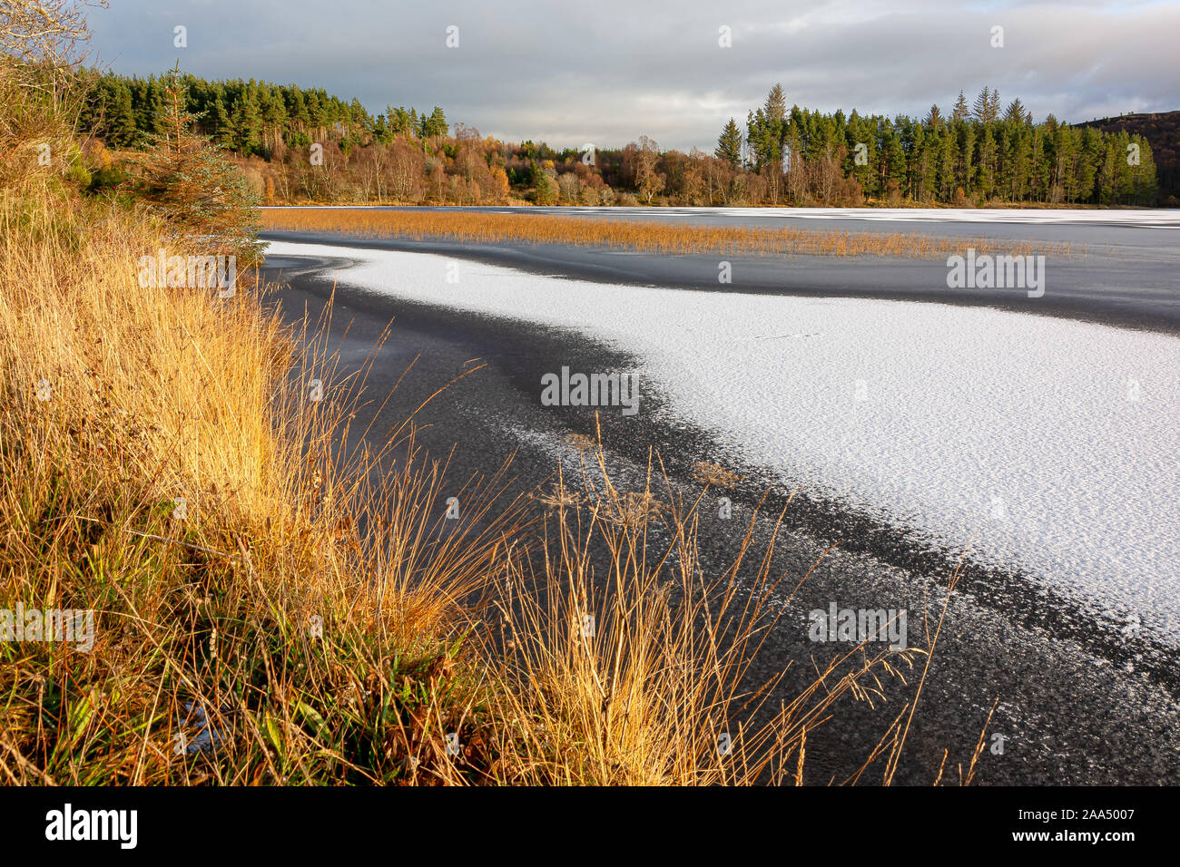 Loch Laide, Abriachan, Inverness, Schottland, Vereinigtes Königreich Stockfoto