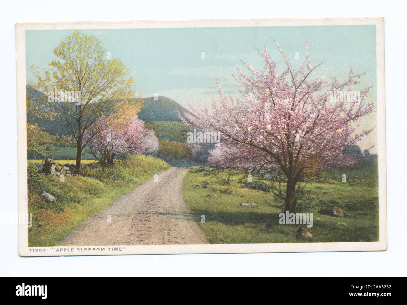 1913-1918, bis 1930 ausgestellt. Begann der "Vertrag", Karten für Museen und anderen Organisationen.; Apple Blossom Time Stockfoto