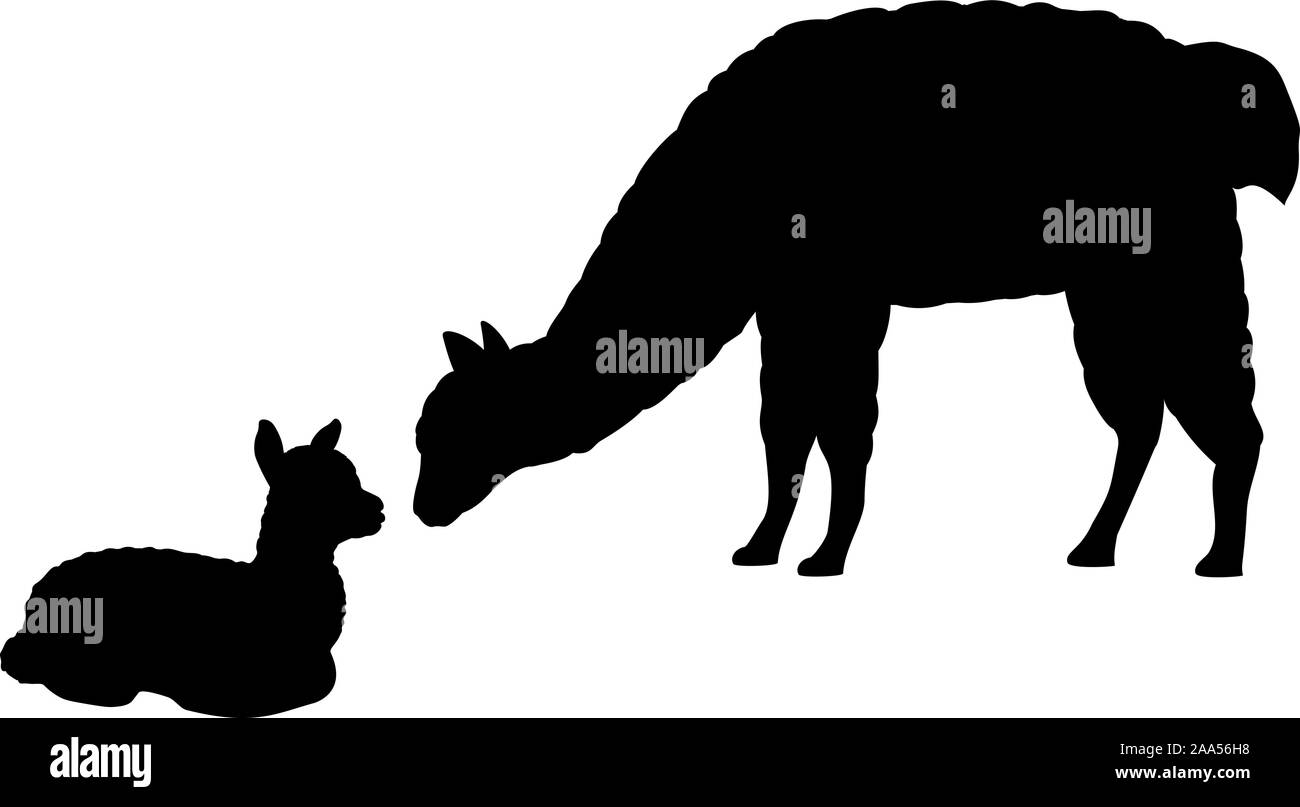 Silhouette von Lama Alpaka und jungen kleinen Lama Alpaka. Vektor Illustrator Stock Vektor