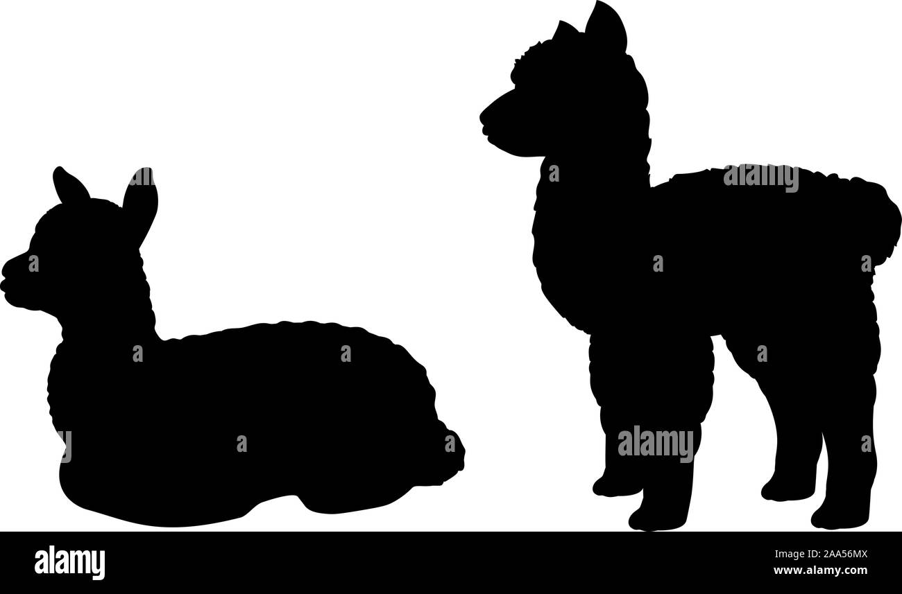 Silhouette von zwei kleinen Alpaka Lama Cub. Vektor Illustrator Stock Vektor
