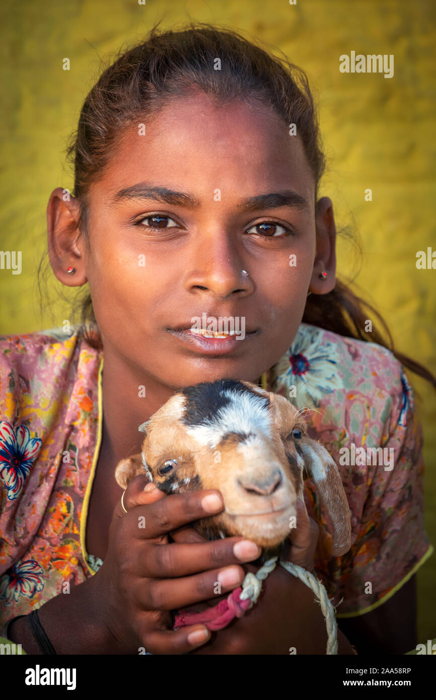 Porträt eines indischen Mädchens mit einer Ziege, Jaisalmer, Rajasthan, Indien Stockfoto