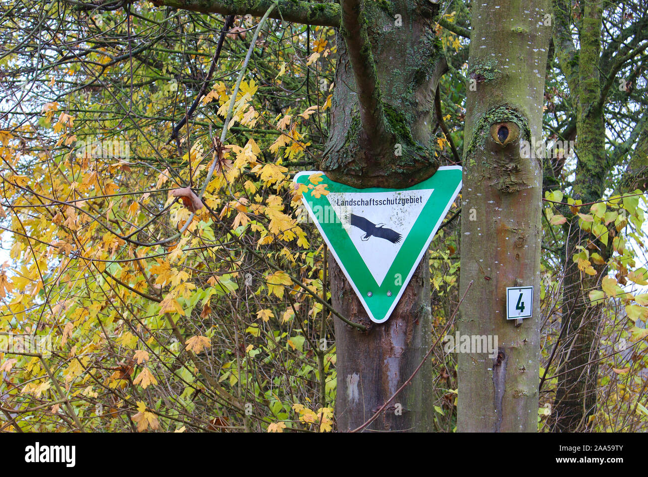 Grüne Schild, das Naturschutzgebiet durch den Baum überwachsen werden Stockfoto