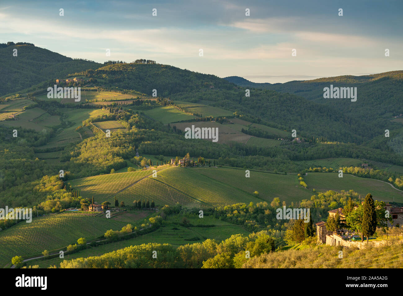 Landwirtschaftliche Flächen, Radda in Chianti, Toskana, Italien Stockfoto