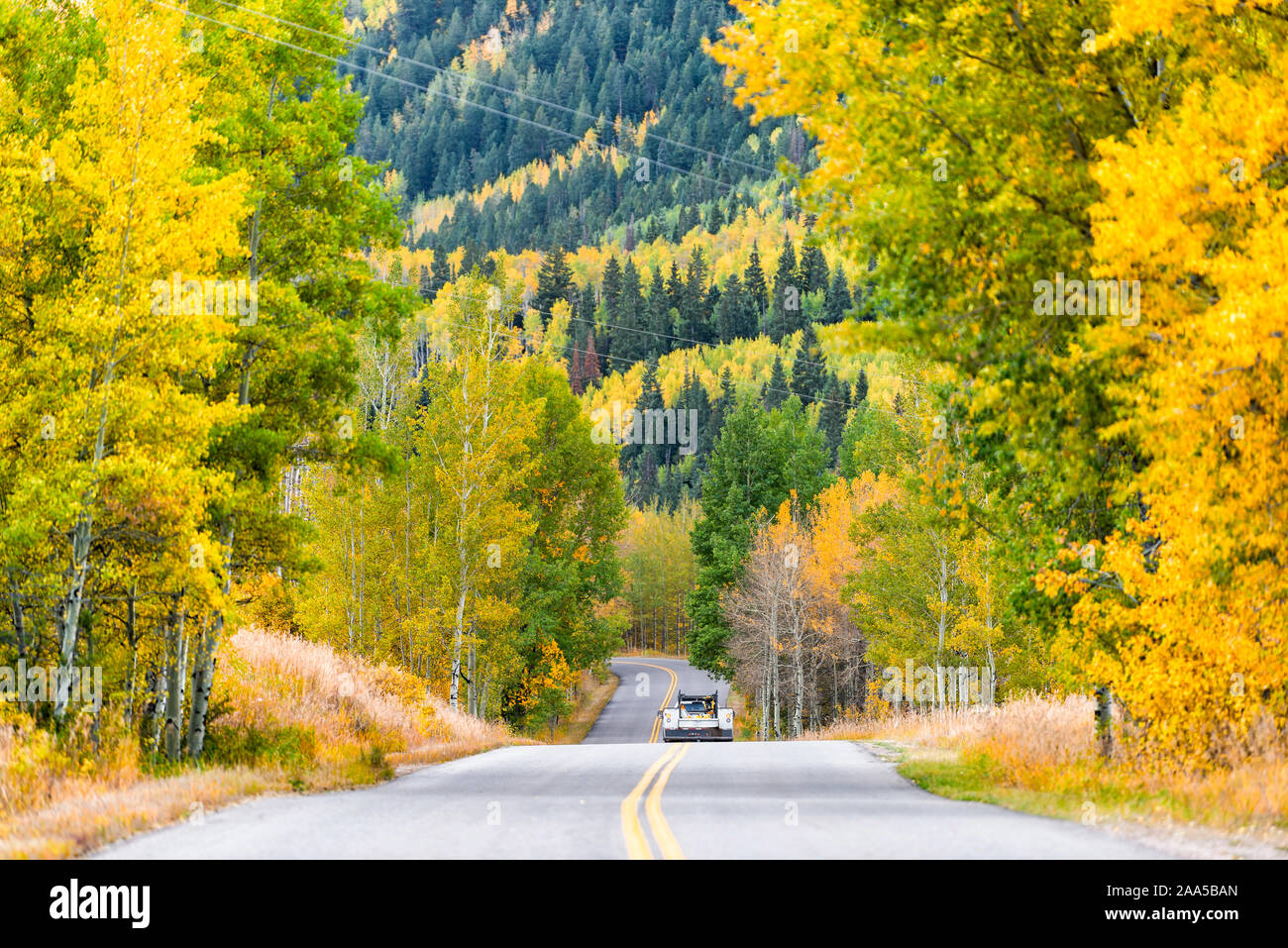 Aspen, Colorado Rocky Mountains Laub an Bäumen auf Castle Creek Road mit bunten gelb orange Blätter und Auto auf der Straße Stockfoto