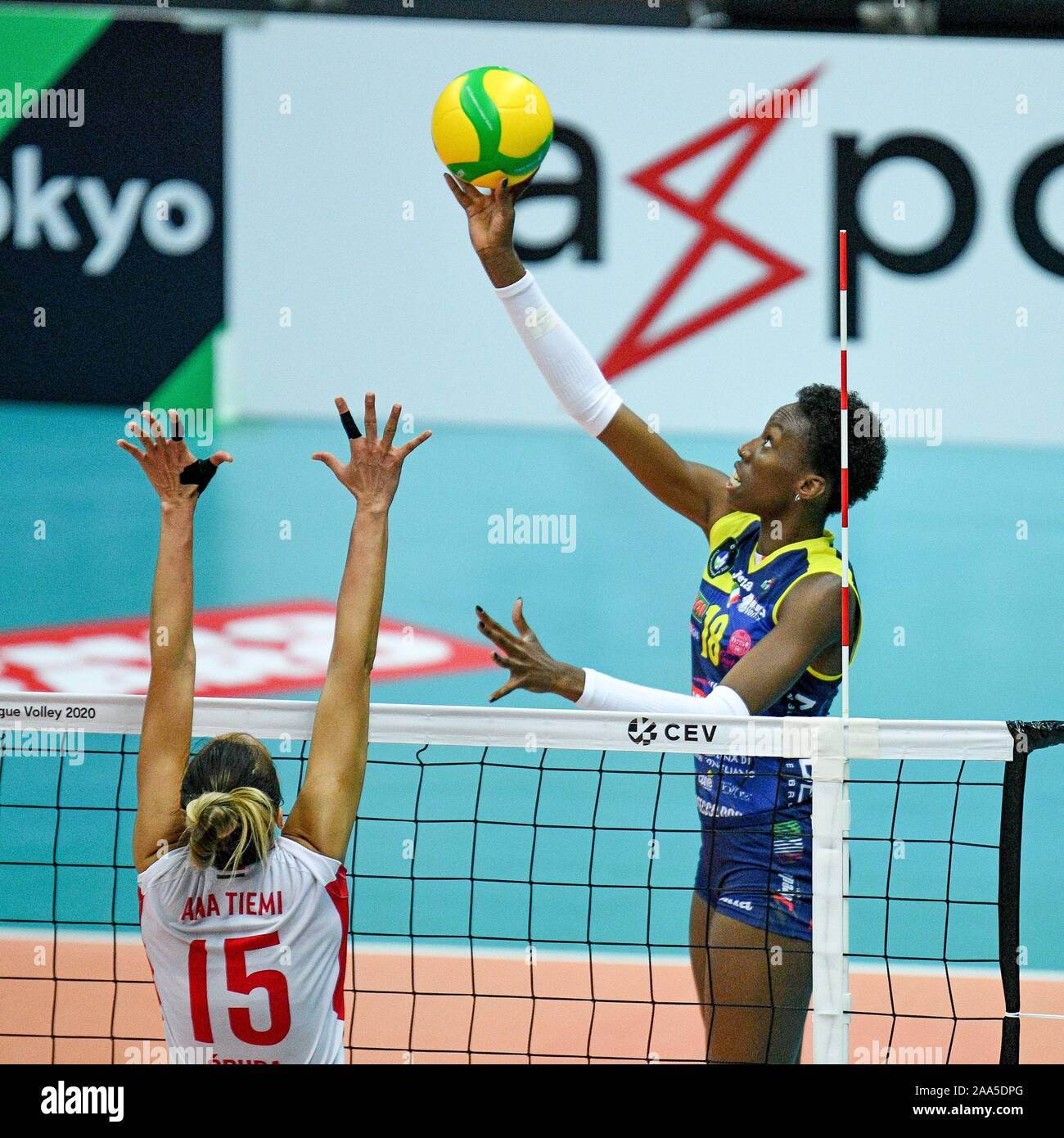 November 19, 2019, Treviso, Italien: Paola egonu (conegliano) während Carraro Imoco Conegliano vs Vasas Obuda Budapest, Volleyball Champions League Frauen in Treviso, Italien, 19. November 2019 - LPS/Ettore Griffoni (Credit Bild: © Ettore Griffoni/LPS über ZUMA Draht) Stockfoto