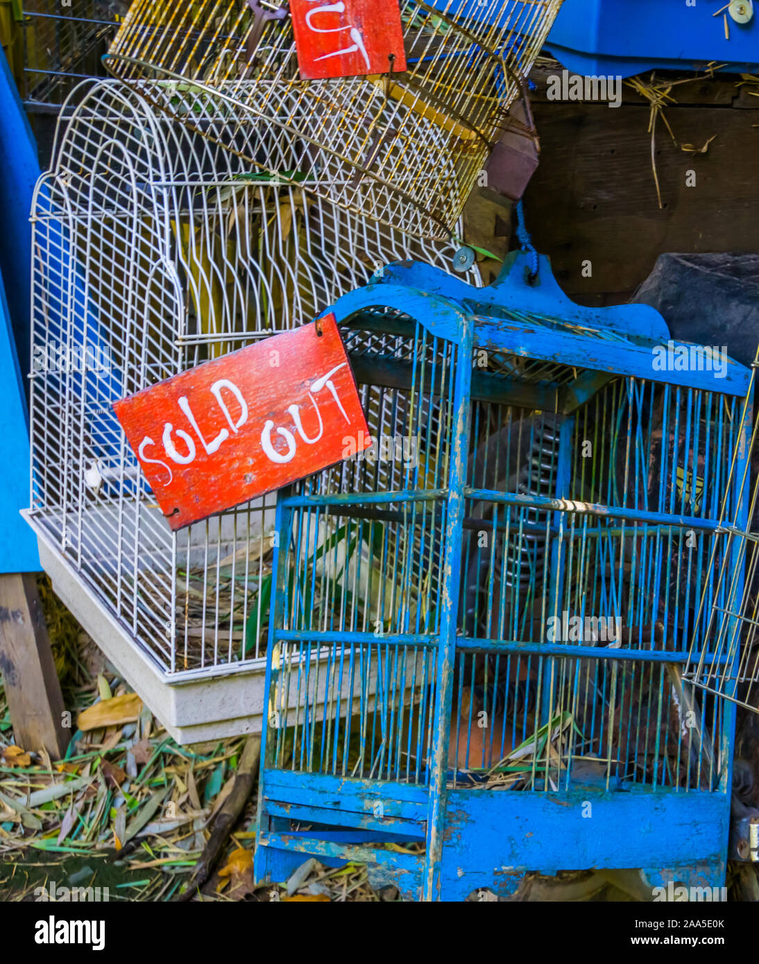 Vogelkäfige in Nahaufnahme mit ausverkauft Schild, Pet Handel in Asien, Tier shop Hintergrund Stockfoto