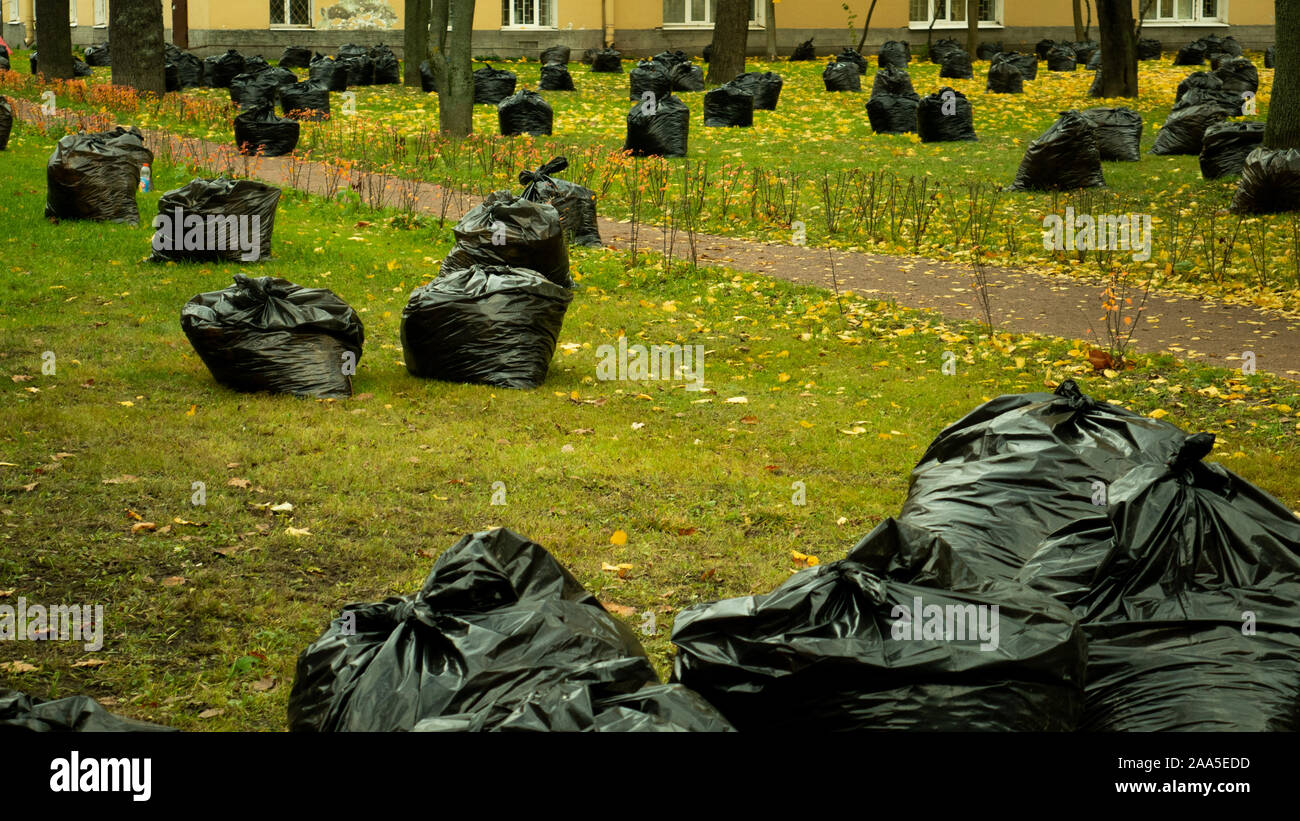 Ernte die Blätter im Herbst. Pflege für den Park Stockfoto