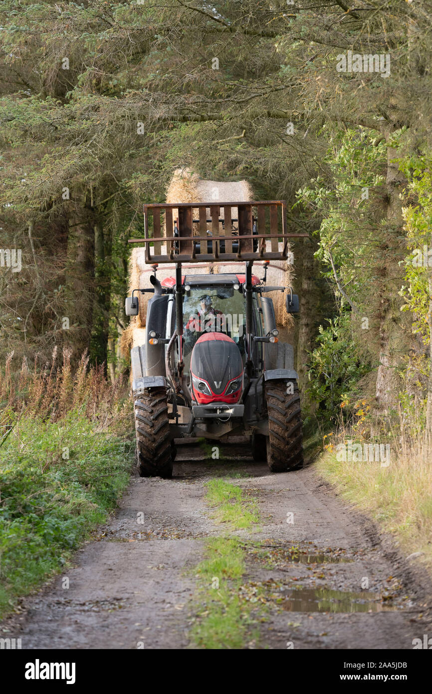 Eine rote Valtra Traktor Fahren mit einem Anhänger voller Strohballen auf einem Feldweg in der Aberdeenshire Landschaft Stockfoto