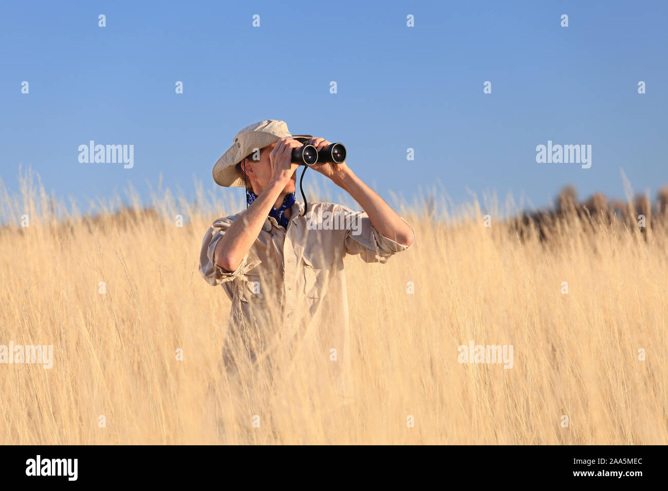 Safari Mann schaut durch ein Fernglas im langen Gras Stockfoto