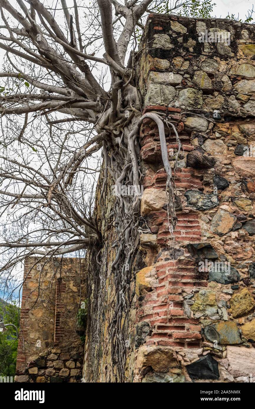 Royals von Zoll Minen, La Libertad Bergwerk, neue Minen. Antiogua nima de Oro im La Aduana Gemeinschaft in die zauberhafte Stadt Alamos, Sonora Mexico. In seiner Nähe befinden sich die Royals von Minen von Zoll, La, La Quintera Nacacherán, an der gleichen Stelle im Besitz von Pedro Perrón. © (© Foto: LuisGutierrez/NortePhoto.com) "Reales de Minas de la Aduana, Mina La Libertad, Minas Nuevas. Antiogua nima de Oro en la Comunidad La Aduana en el Pueblo Magico de Alamos, Sonora Mexico. En sus Cercanías se hallan los Reales de Minas de la Aduana, La, La Quintera Nacacherán, en el mismo Sitio la posee Don Pedro Stockfoto