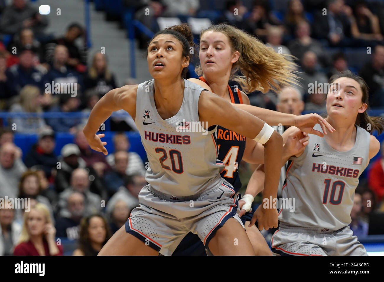 Hartford, CT, USA. Nov, 2019 19. Olivia Nelson-Ododa (20) Der Uconn Huskies in Position während eines Spiels gegen die Virginia Kavaliere an der XL-Zentrum wird am 19. November 2019 in Hartford, CT. Gregory Vasil/CSM/Alamy leben Nachrichten Stockfoto