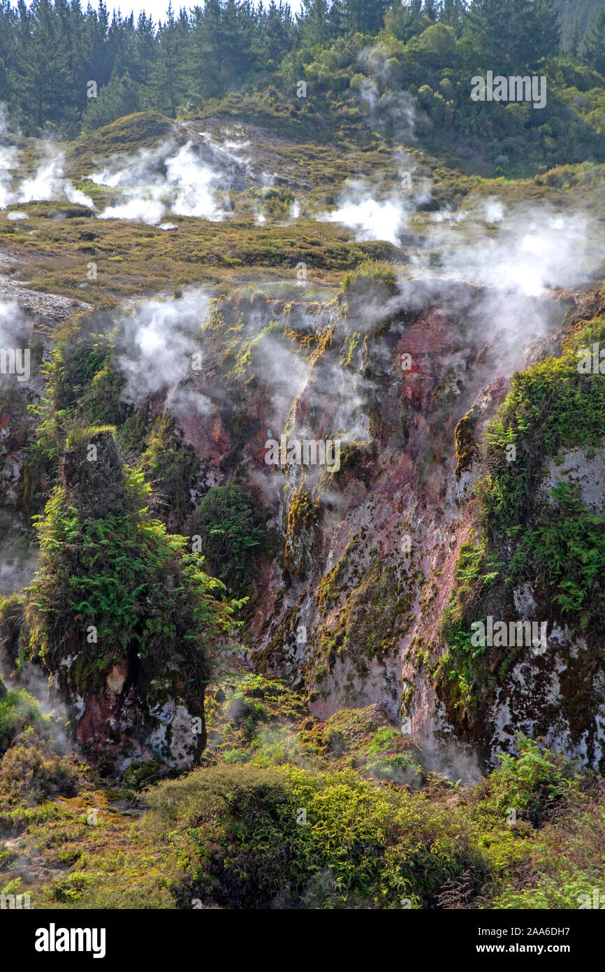 Dampf gießt aus einem Krater im Krater des Mondes geothermische Feld Stockfoto