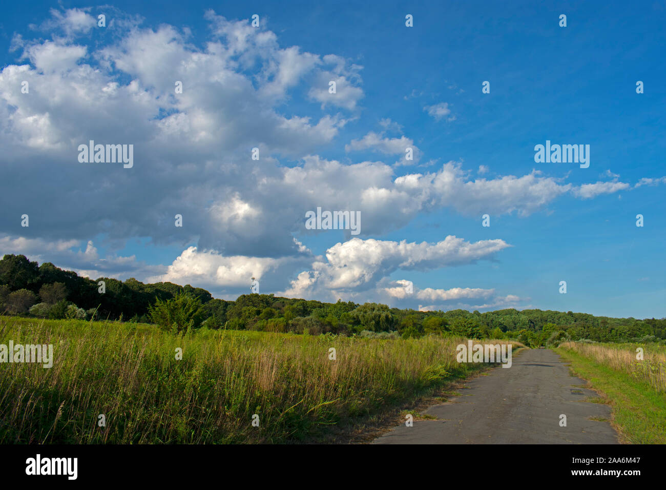 Malerische Ausblicke entlang der Bike Trail am Grossen Brook Park in Marlboro, New Jersey, USA. -02 Stockfoto