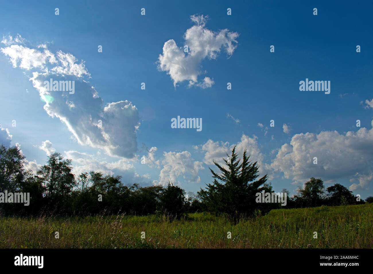 Malerische Ausblicke entlang der Bike Trail am Grossen Brook Park in Marlboro, New Jersey, USA. -03 Stockfoto