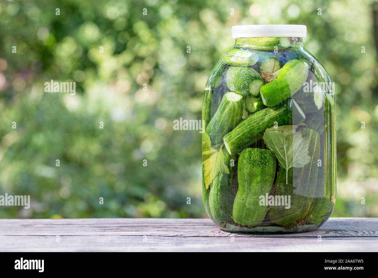 Hausgemachte Konserven Gurken im Glas auf hölzernen Tisch. Natürlichen grünen Hintergrund Stockfoto