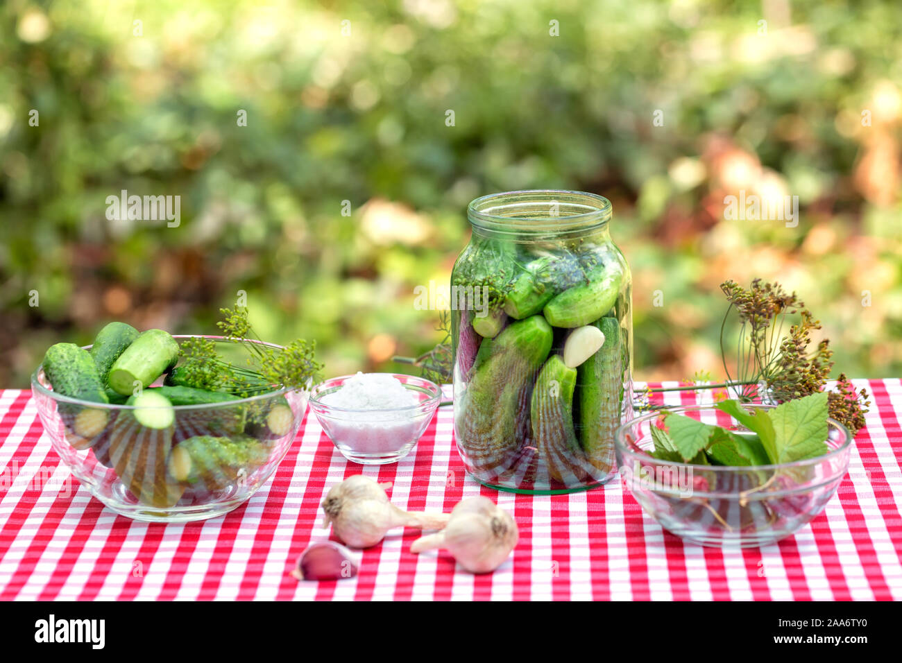 Gurken und Gewürze für Bewahrung. Gewürz Knoblauch und Gurken in einem Glas auf eine Rote karierte Tischdecke. Natürlichen grünen Hintergrund Stockfoto