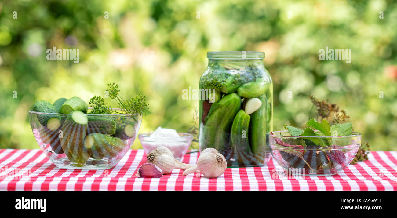 Zutaten für die Erhaltung der Gurken. Gewürz Knoblauch und Gurken in einem Glas auf eine Rote karierte Tischdecke. Natürlichen grünen Hintergrund Stockfoto
