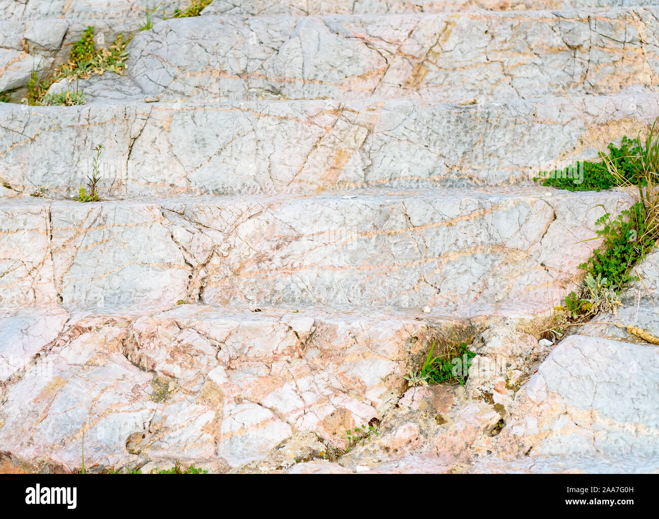Alten Marmor Schritte mit Gras brechen durch die Steine Stockfoto