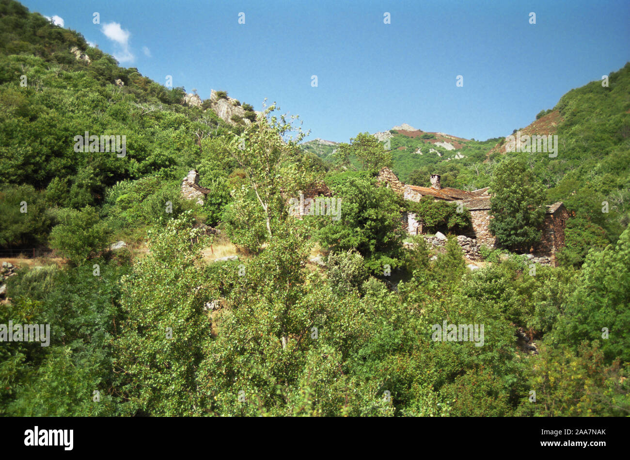 Héric, einem winzigen Dorf in den Monts de l'Espinouse, Hérault, Royal, Frankreich, fast in der Vegetation verschluckt Stockfoto