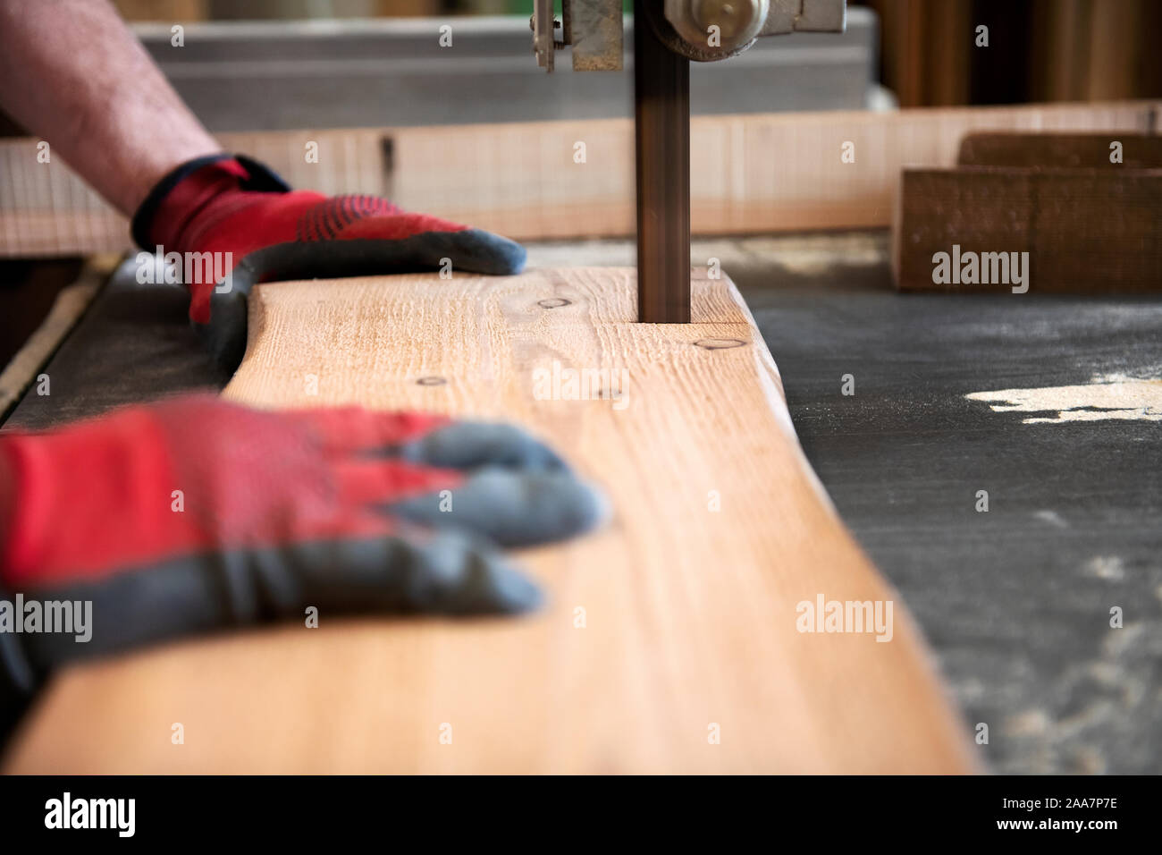 Tischler Schneiden von Holz Planke mit einer Bandsäge in Nahaufnahme auf der Klinge und seine behandschuhten Hände Stockfoto