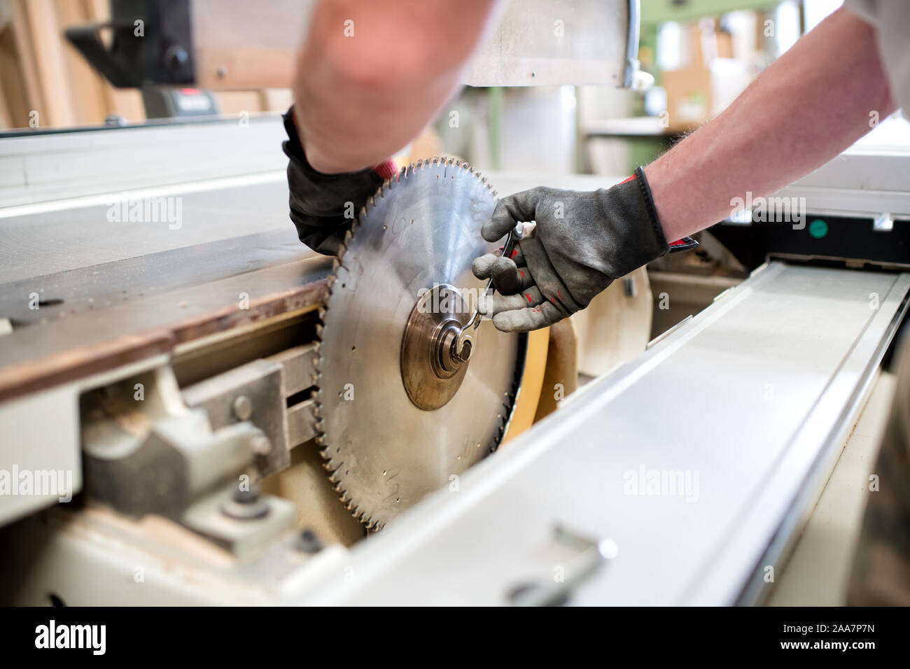 Tischler in einem Workshop ein kreissägeblatt in Nahaufnahme auf die Maschine und seine behandschuhten Hände Stockfoto