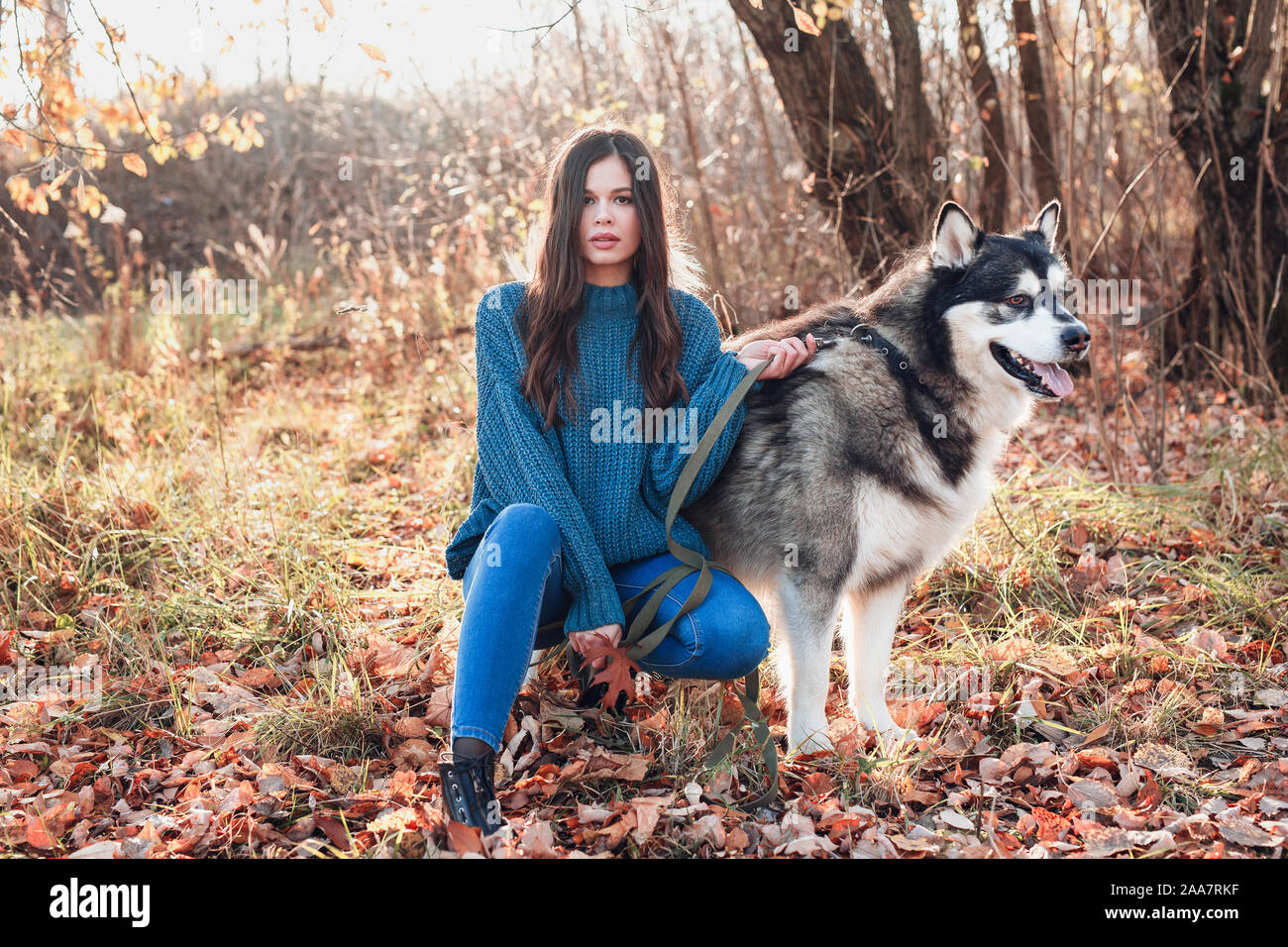 Junge Mode Frau ihren grossen Hund malamute in autuman Park Stockfoto