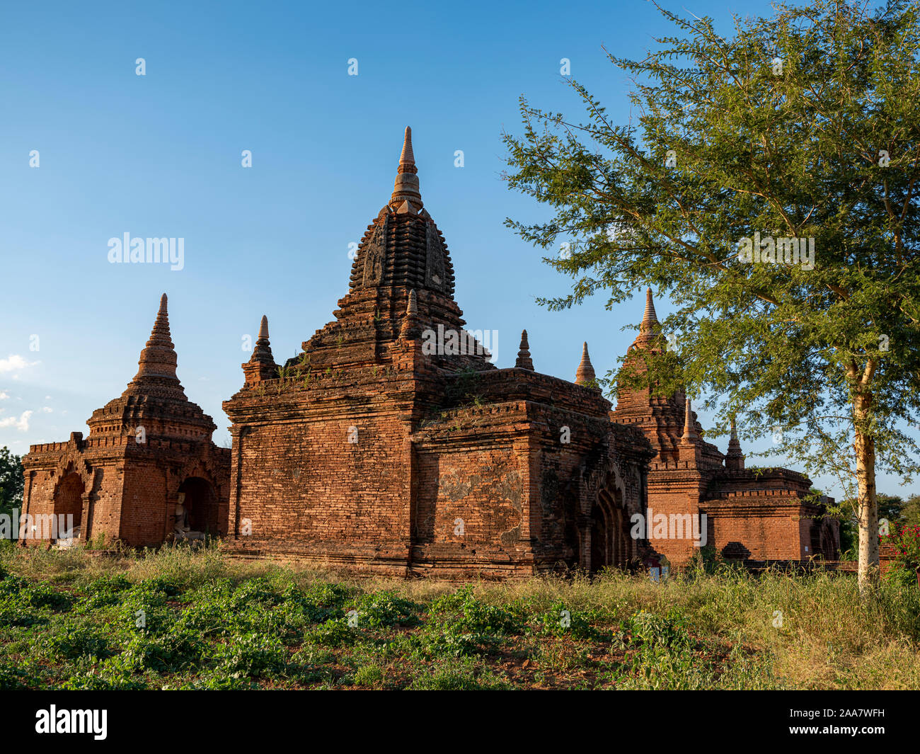 Die archäologische Zone und antiken Tempelanlagen von Bagan (Pagan), Myanmar (Birma) der 9. und 13. Jahrhundert, heute ein UNESCO-Welterbe Stockfoto