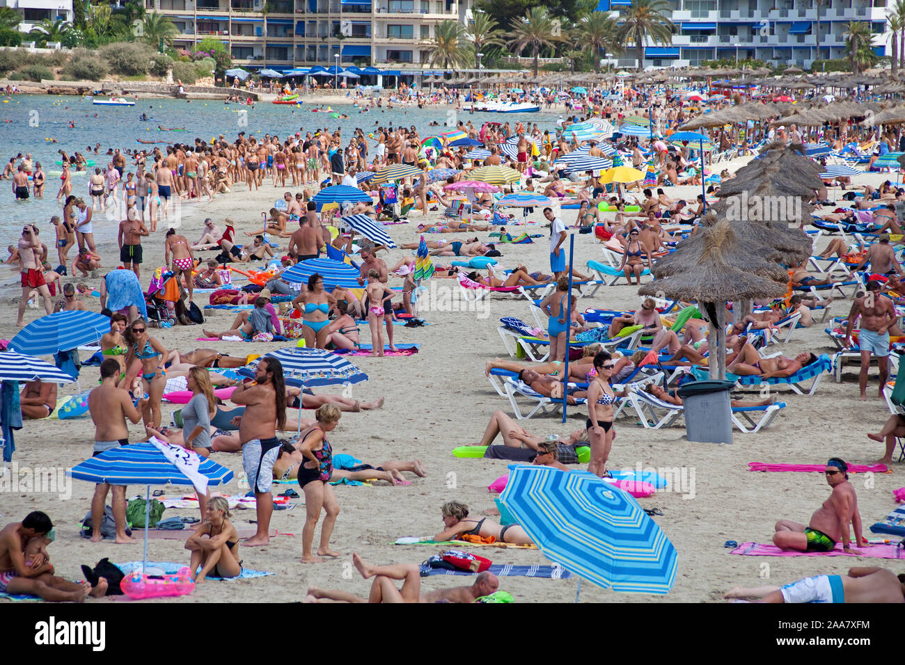 Overtourism. überfüllten Strand in Santa Ponca, Mallorca, Baearic Inseln, Spanien Stockfoto