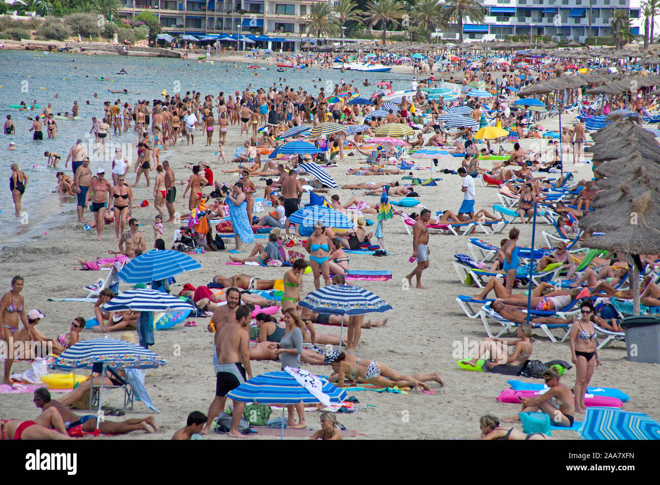 Overtourism. überfüllten Strand in Santa Ponca, Mallorca, Baearic Inseln, Spanien Stockfoto