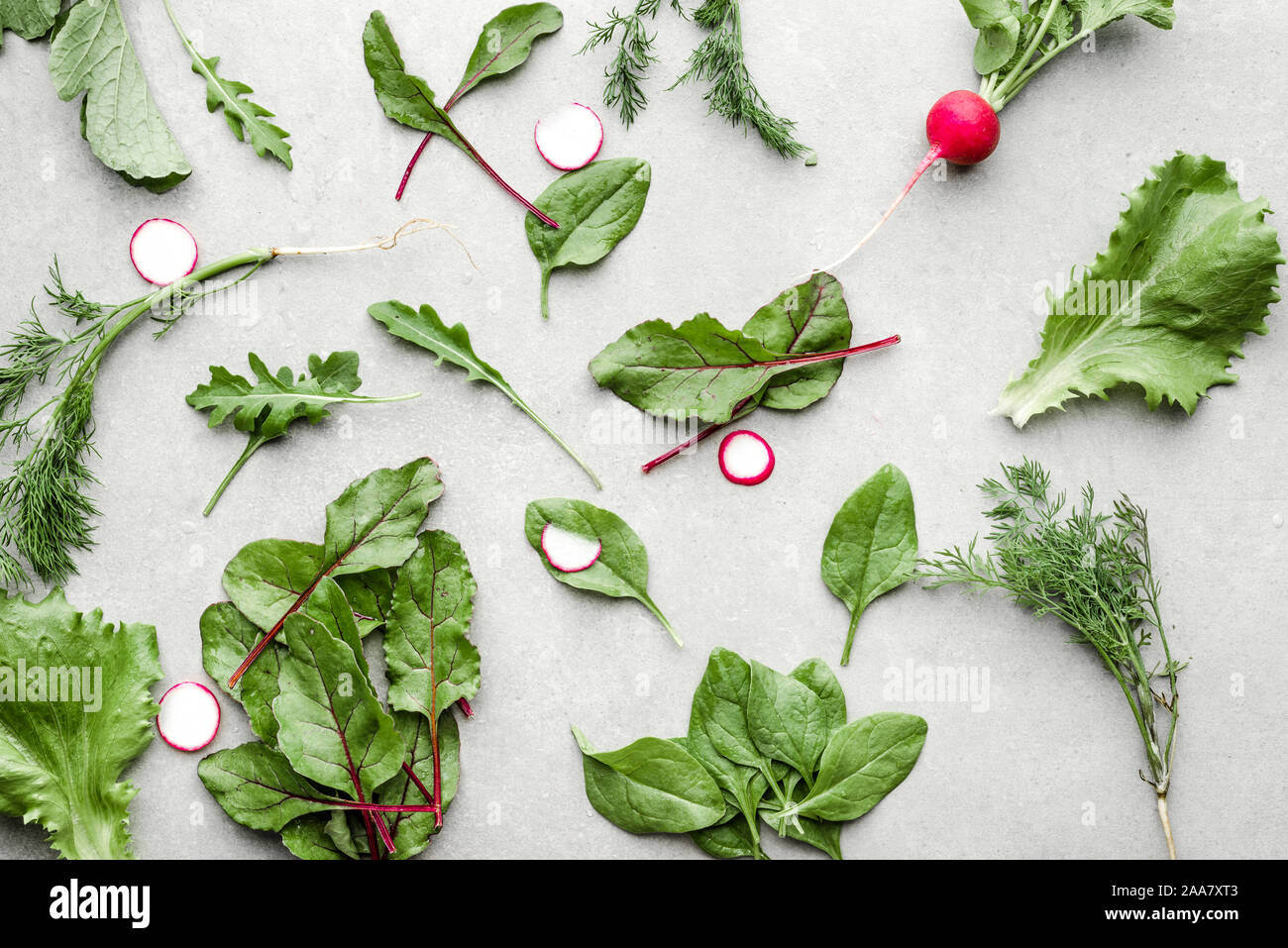 Sortierte Blattgemüse. Frischen grünen Salat. Salat, Rüben, Spinat und Rucola. Stockfoto