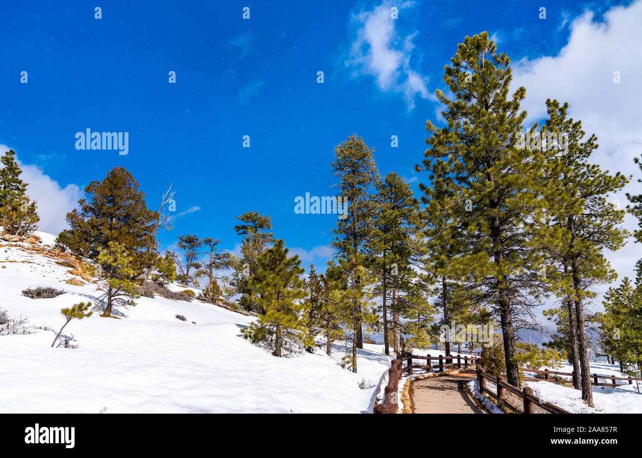 Winter Waldlandschaft im Bryce Canyon, USA Stockfoto