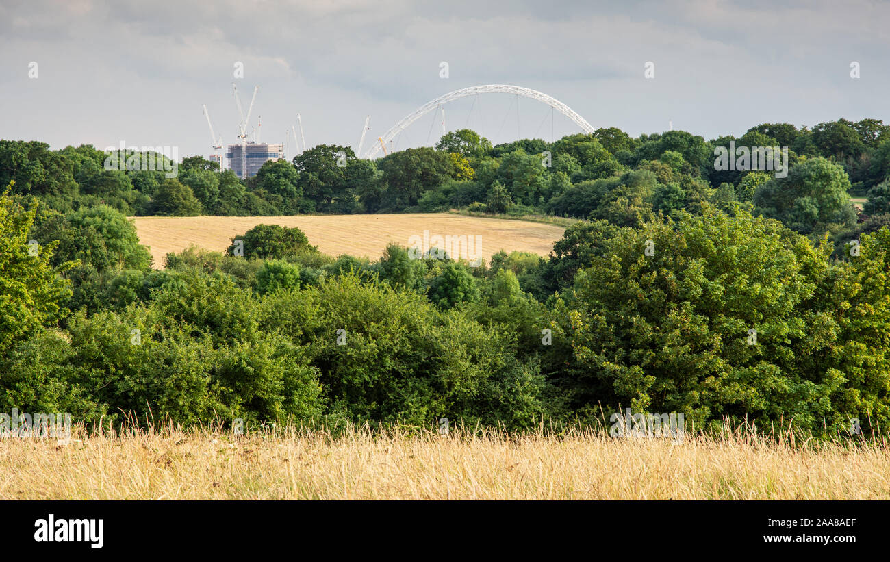 Der Bogen von Wembley Stadion verrät die städtebauliche Situation der Wiesen von Fryent Country Park und Wald der Scheune Hügel im Norden von London. Stockfoto