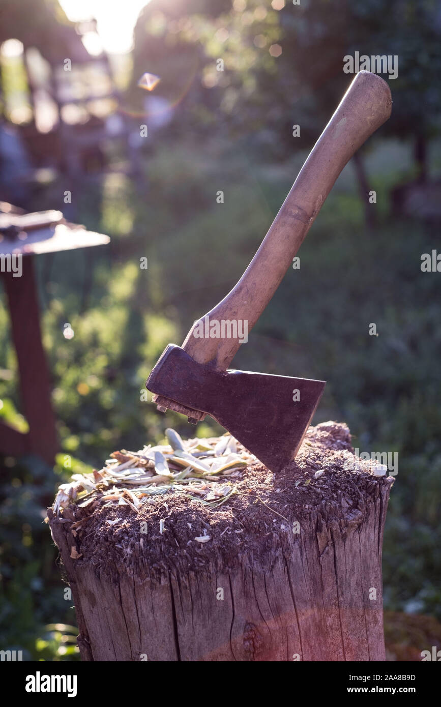 Ax und Ax. Holzbearbeitung. Die Entwaldung durch eine scharfe Axt. Ax zum  Holz hacken. Der sehr scharfen Förster Axt oder Tischlerei ax, ein Werkzeug  Schreiner Stockfotografie - Alamy