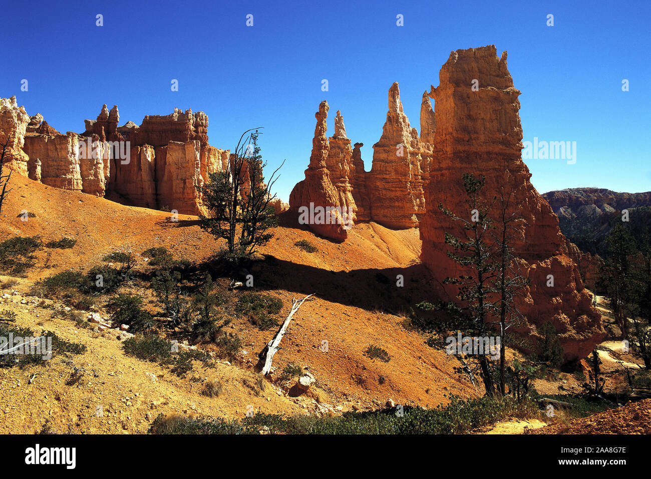 Stark erodiert "Tuff" (weiche vulkanische verderben) Zinnen im Bryce Canyon, Utah, USA Stockfoto