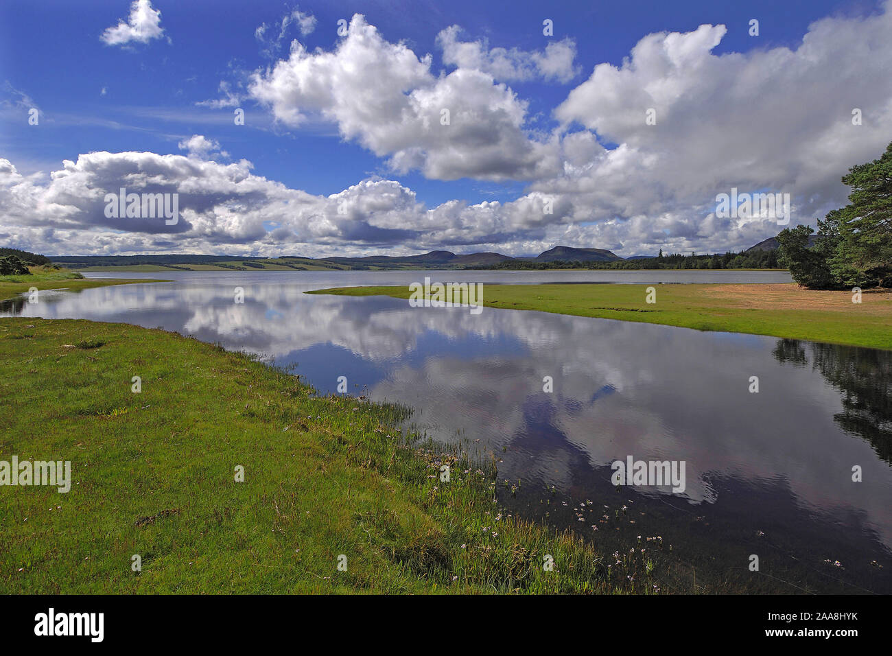 Spiegel - wie Spiegelungen der Bäume und der Himmel in den stillen Wassern des Loch Flotte, Osten Sutherland, N.e. Schottland Stockfoto