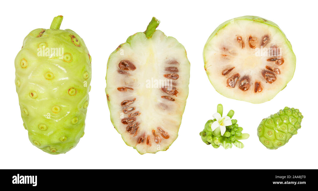 Oder morinda citrifolia Noni und Noni slice Draufsicht auf weißem Hintergrund. Stockfoto