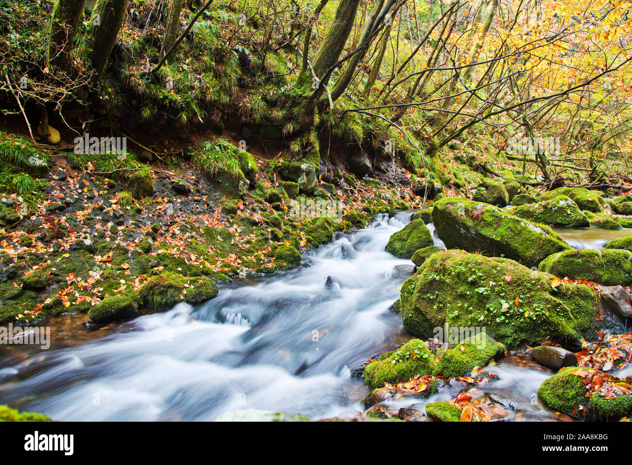 Mototaki Wasserfall im Herbst in Akita Präfektur, Tohoku, Japan Stockfoto