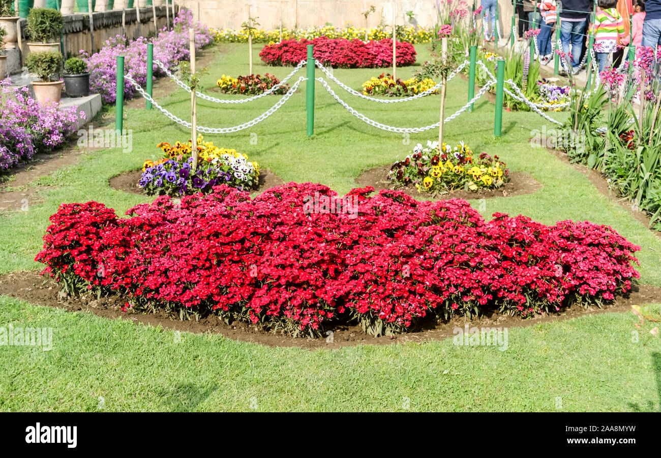 Home Exterieur Vorgarten Garten Dekor mit dekorativen Blumen Bäume, Felsen und Kiesel. Trendige Dekoration Formschnitt Garten Ideen von outdoor Park. Neutralstellung Stockfoto