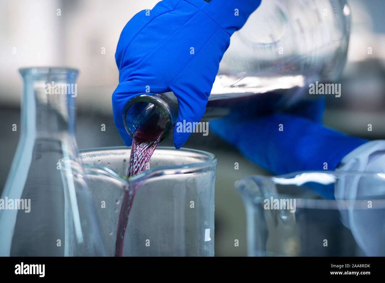 Biotech Wissenschaftler gießen lila Flüssigkeit während einer Wissenschaft expierment Stockfoto