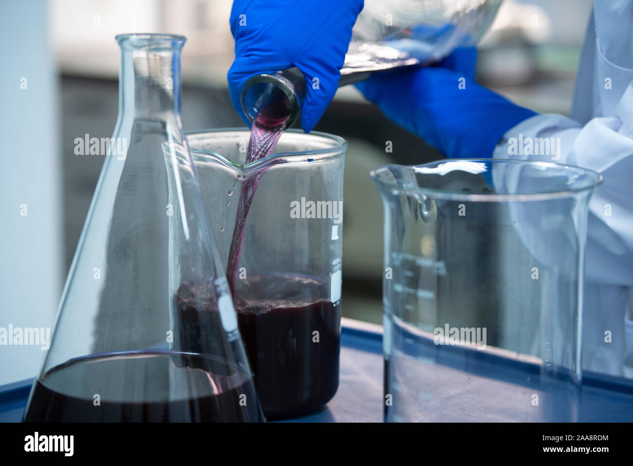 Biotech Wissenschaftler gießen lila Flüssigkeit während einer Wissenschaft expierment Stockfoto