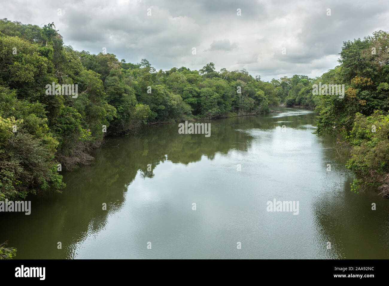 Schöne Aussicht auf Acara Fluss mit Bäumen, Regen und Gewitterwolken im Amazonas Regenwald, Konzept der Umwelt, globale Erwärmung, Klimawandel, Öko. Stockfoto