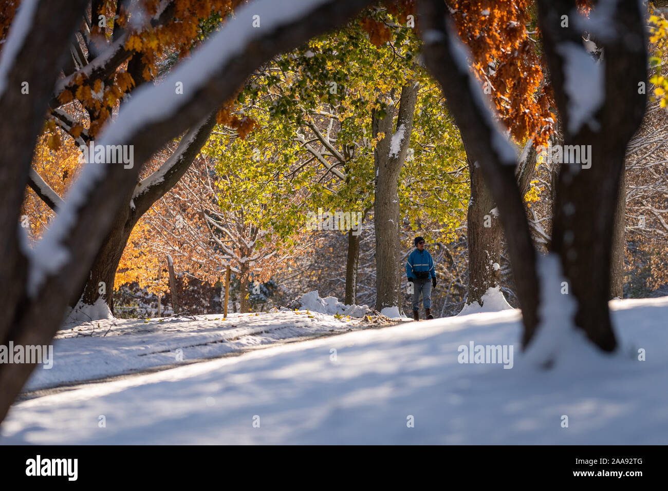 Spektakuläre Sonnenlicht auf einem schneebedeckten Weg im Victoria Park in London Ontario Stockfoto