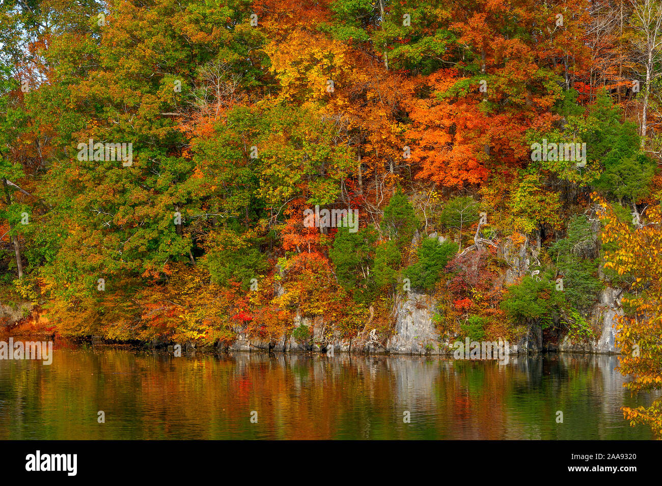 Herbst Farben bei Krieger State Park an den Ufern des Patrick Henry Behälter auf der Holston Fluss in Kingsport, Tennessee Stockfoto