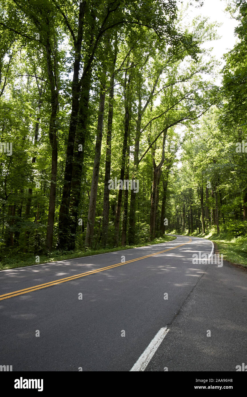 Leere Parkway us 441 highway Route durch Great Smoky Mountains National Park usa Stockfoto